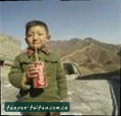郑丽
